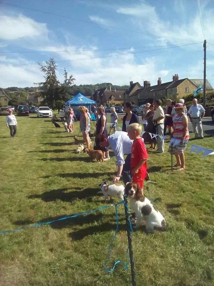 Dog Show at the Willersey Show