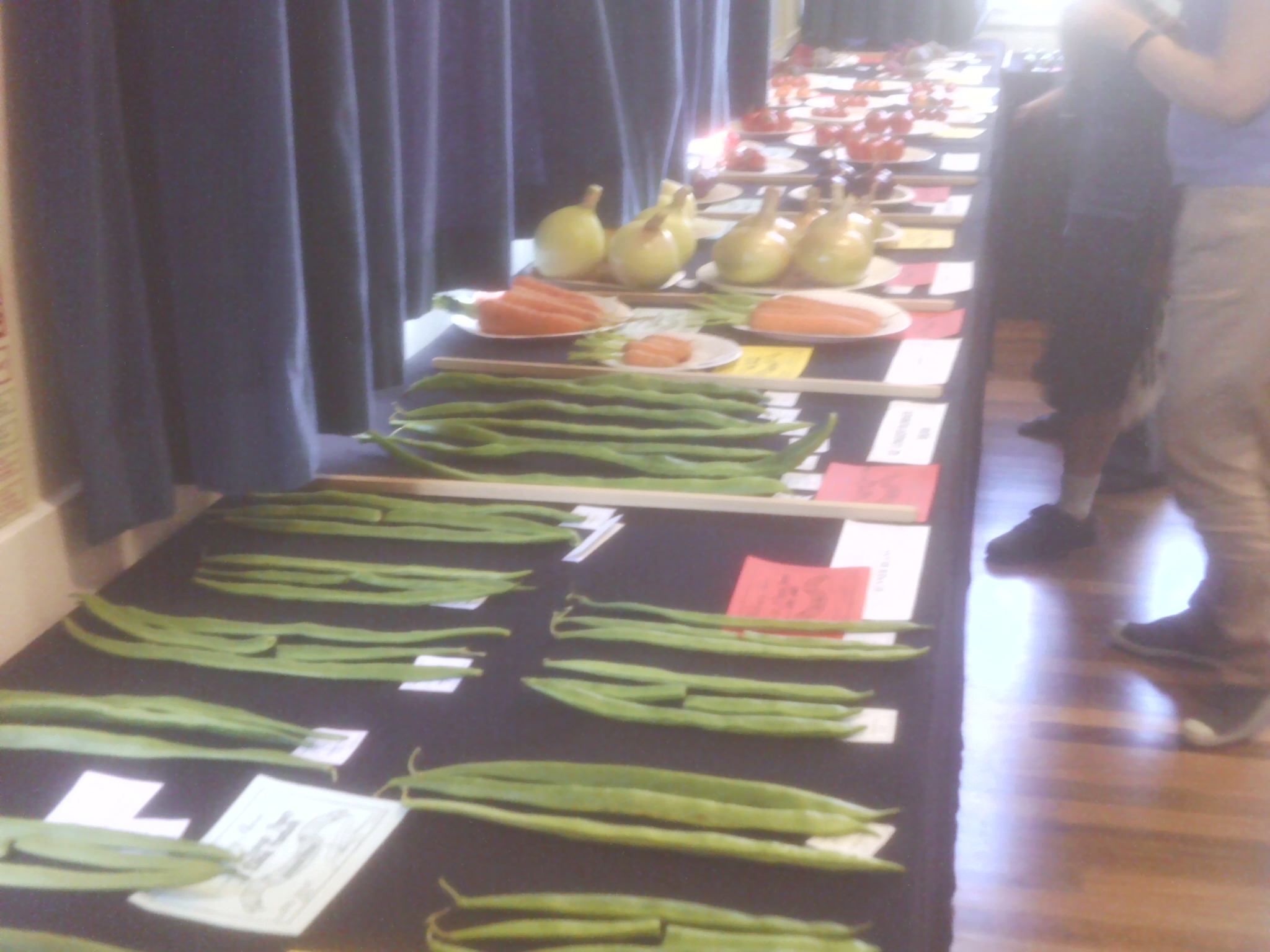 Beans and onions  at Willersey Horticultural Show