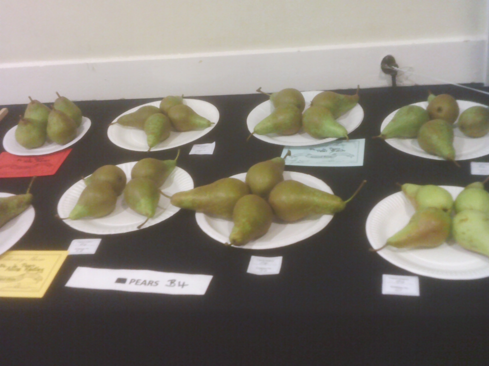 Pears Willersey Horticultural Show