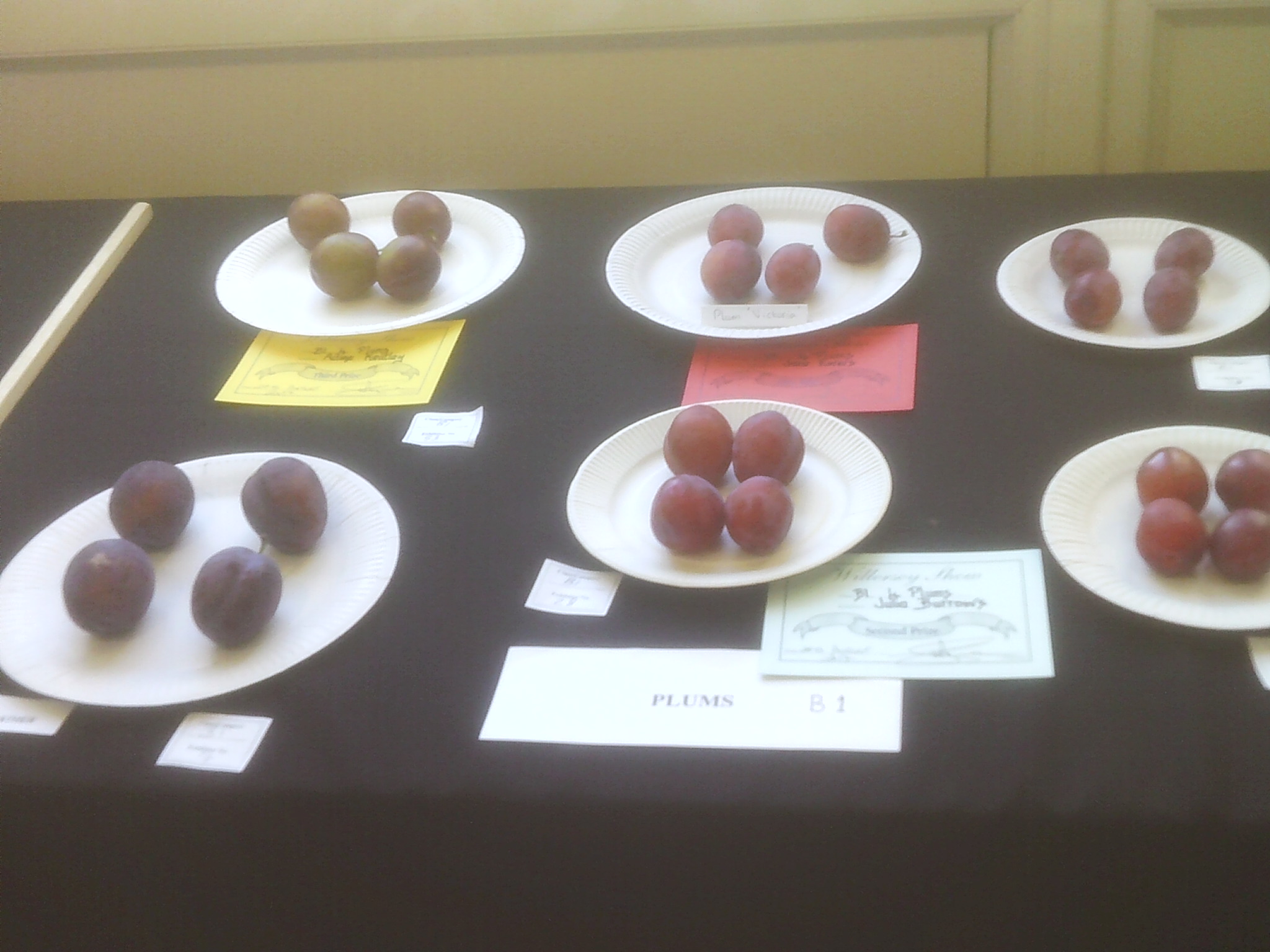 Plums at Willersey Horticultural Show